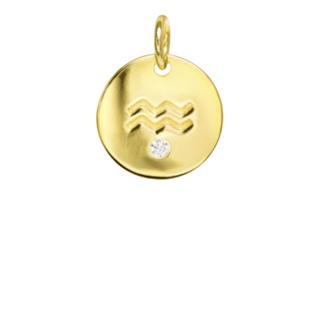 heylove CHARMS PARA SEDAS Charms zodiaco para sedas