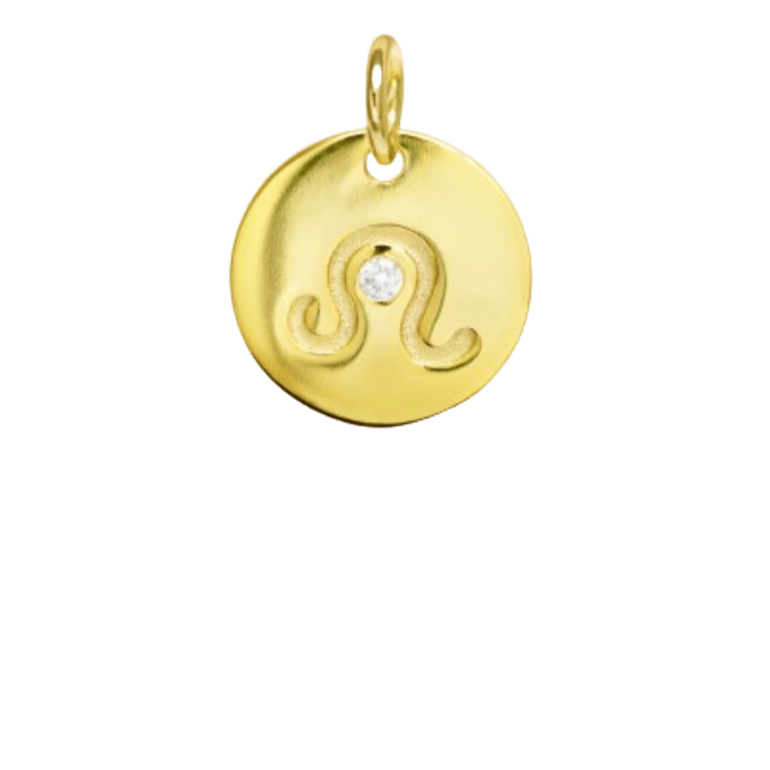 heylove CHARMS PARA SEDAS Charms zodiaco para sedas