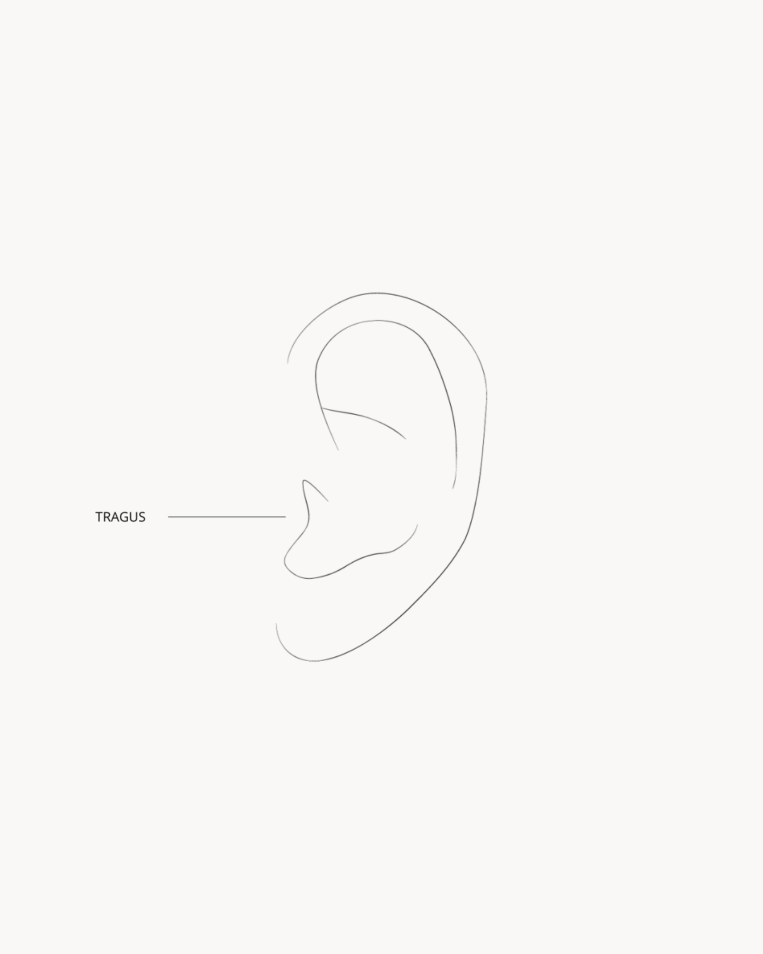 Piercings Tragus