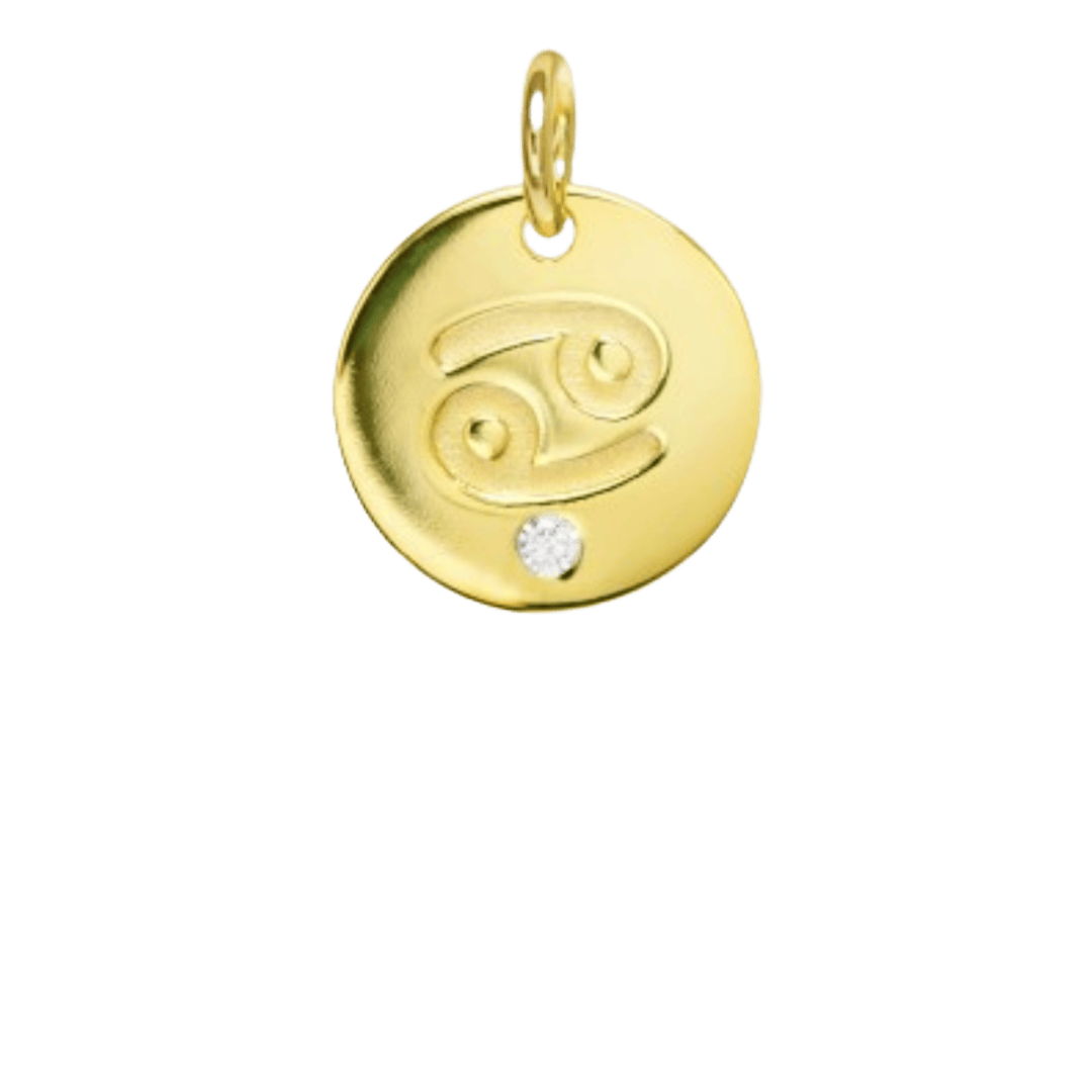 heylove CHARMS PARA SEDAS Charms zodiaco para sedas